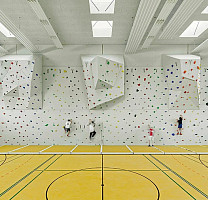 Forbo Marmoleum Sport 83284 yellow фото 2 | FLOORDEALER